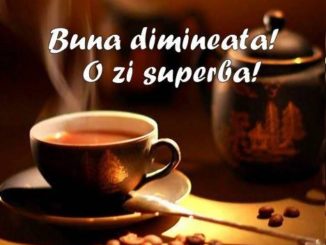 Buna dimineata