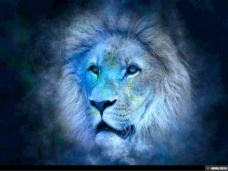 Horoscop Leu Astazi